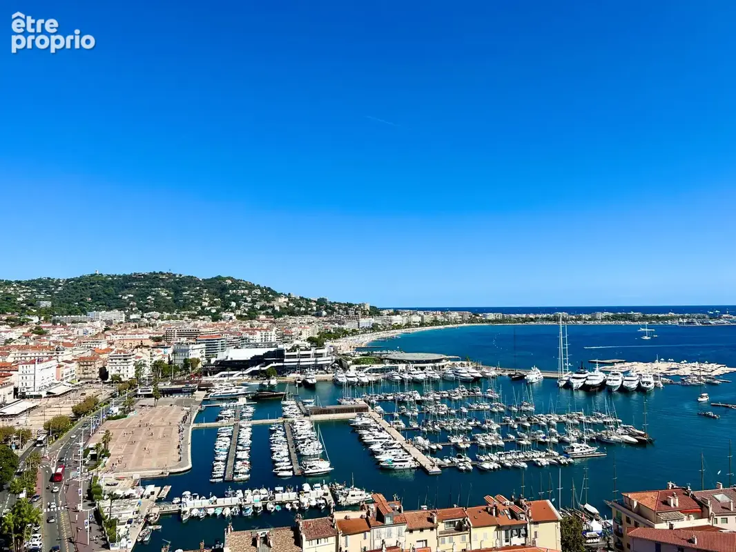 Photo Commerce à Cannes au prix de 448 000€