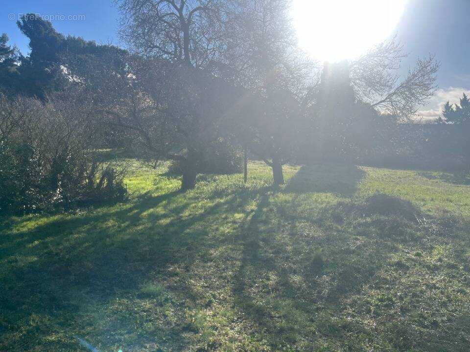Terrain à ALLAUCH