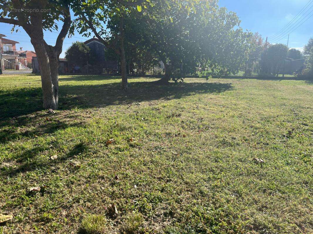 Terrain à FONSORBES