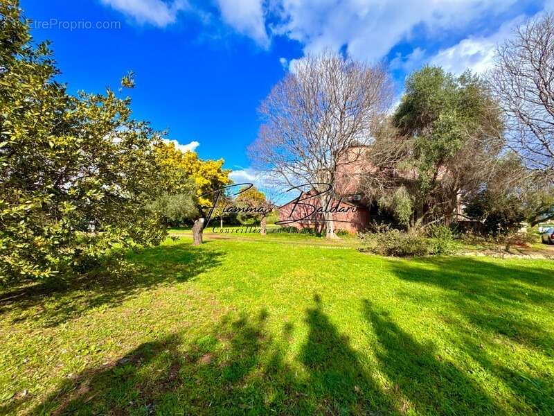 Maison à PENTA-DI-CASINCA