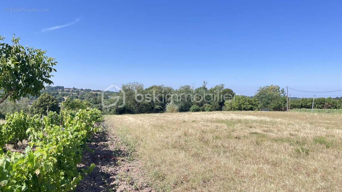  Terrain constructible 3 382 m² – Vue dégagée – Nailhac (24390) - photo 4