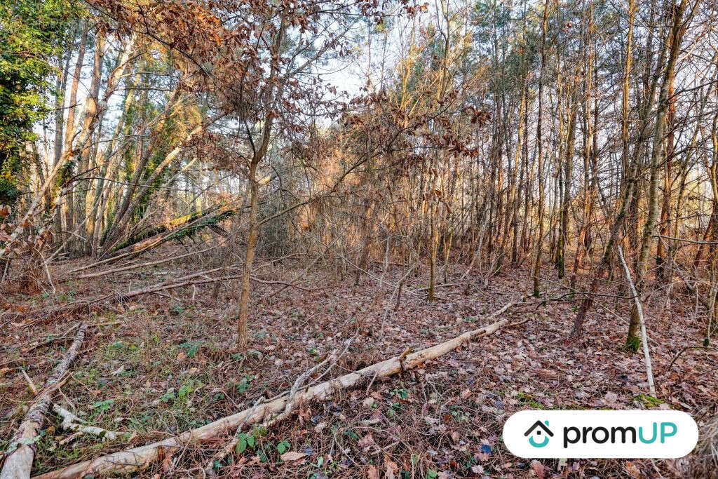 Terrain à CHATILLON-SUR-CHER