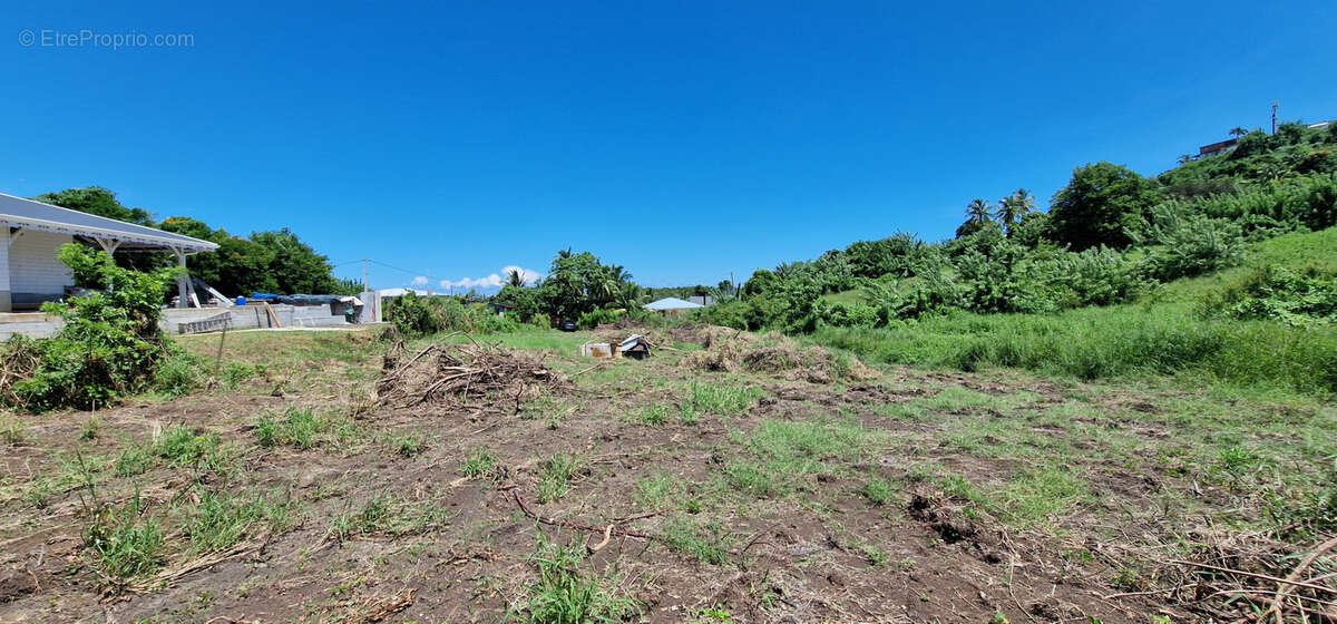 Terrain à LE VAUCLIN