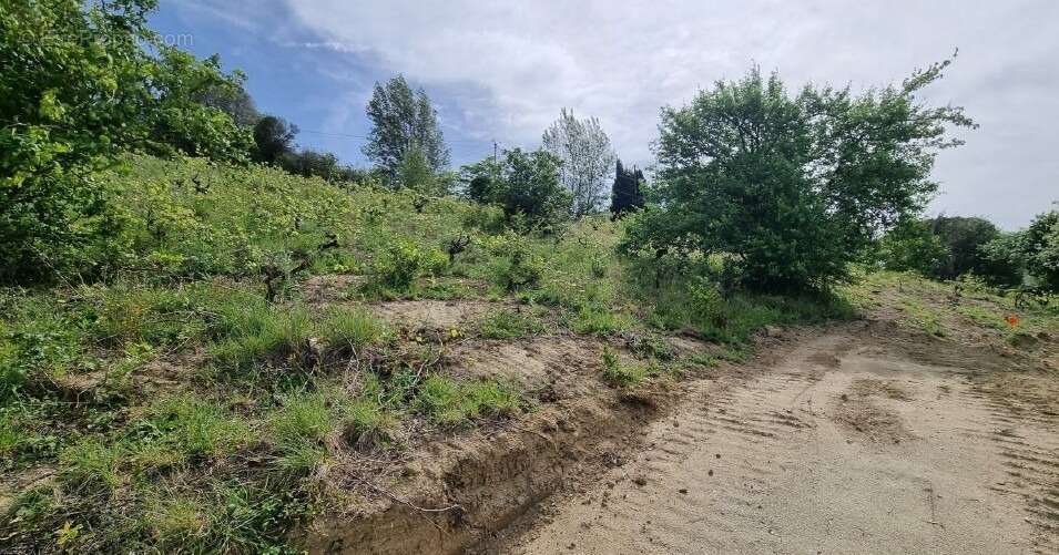 Terrain 1000 m² à Castanet-Tolosan  - photo 3