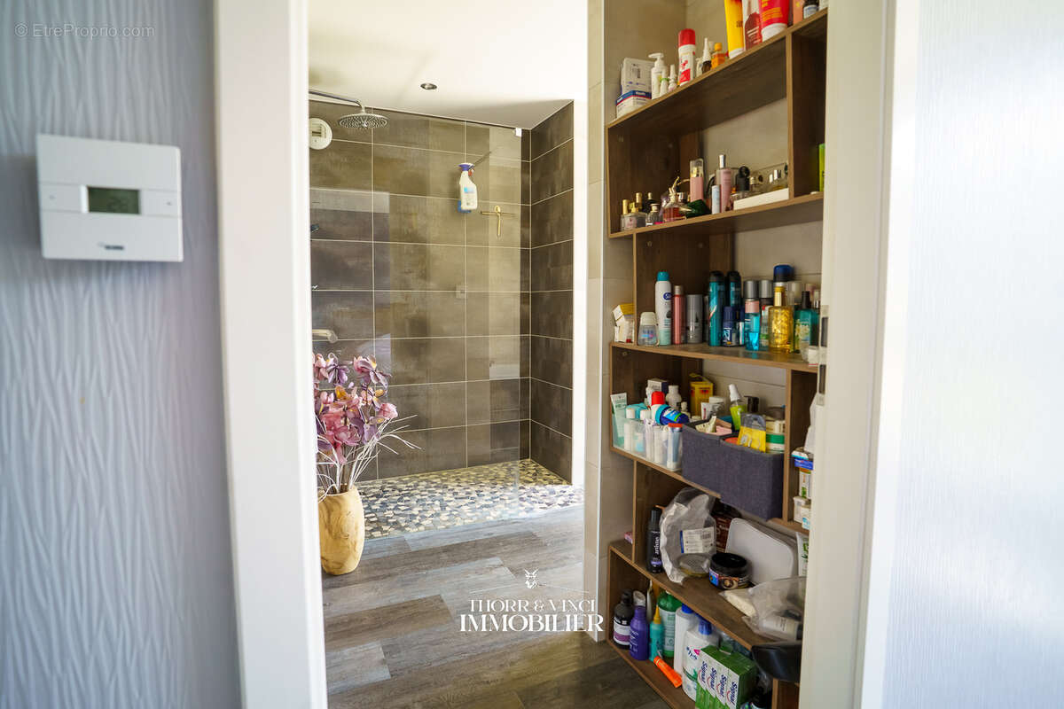 Appartement à BLOTZHEIM