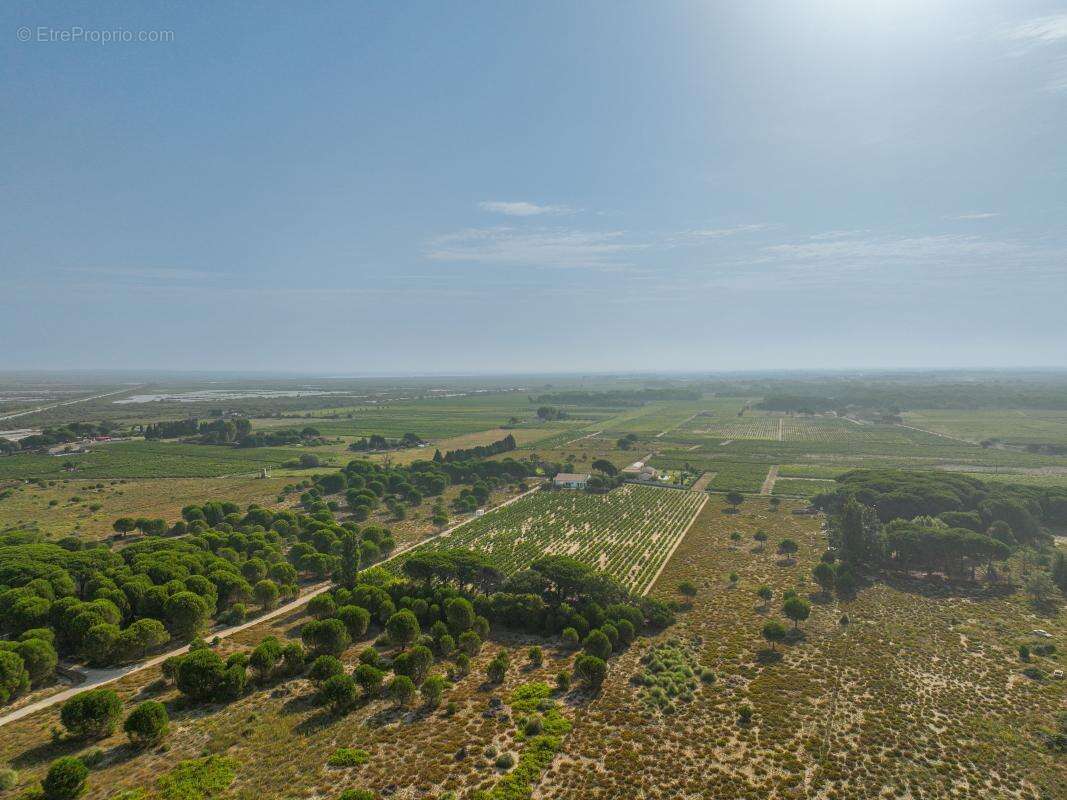 Maison à SAINT-LAURENT-D&#039;AIGOUZE