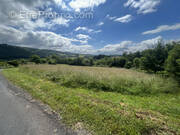 Terrain à SAINT-SOLVE