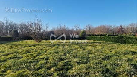Terrain 882 m² à Castelsarrasin  - photo 9