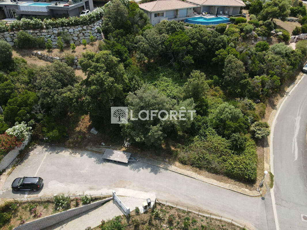 Terrain à VIGGIANELLO