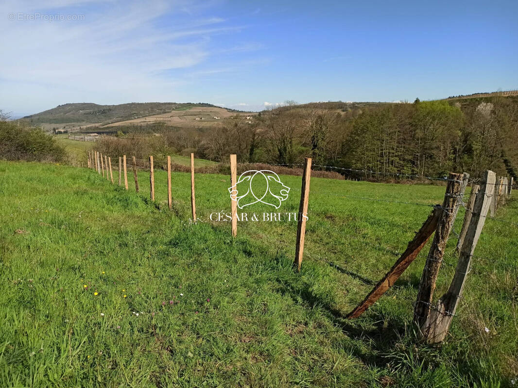 Terrain à VAUXRENARD