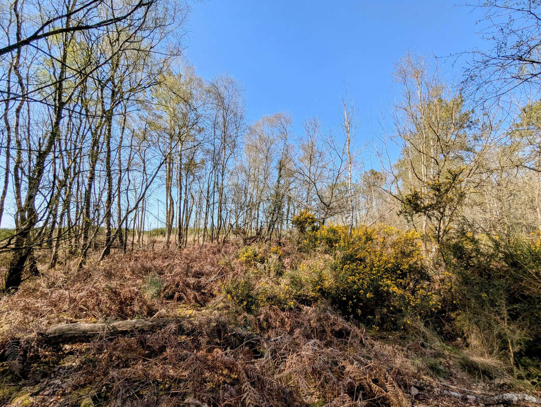 Terrain à CAMPENEAC