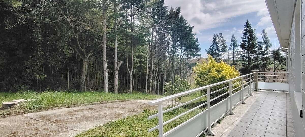 Maison à CINTEGABELLE