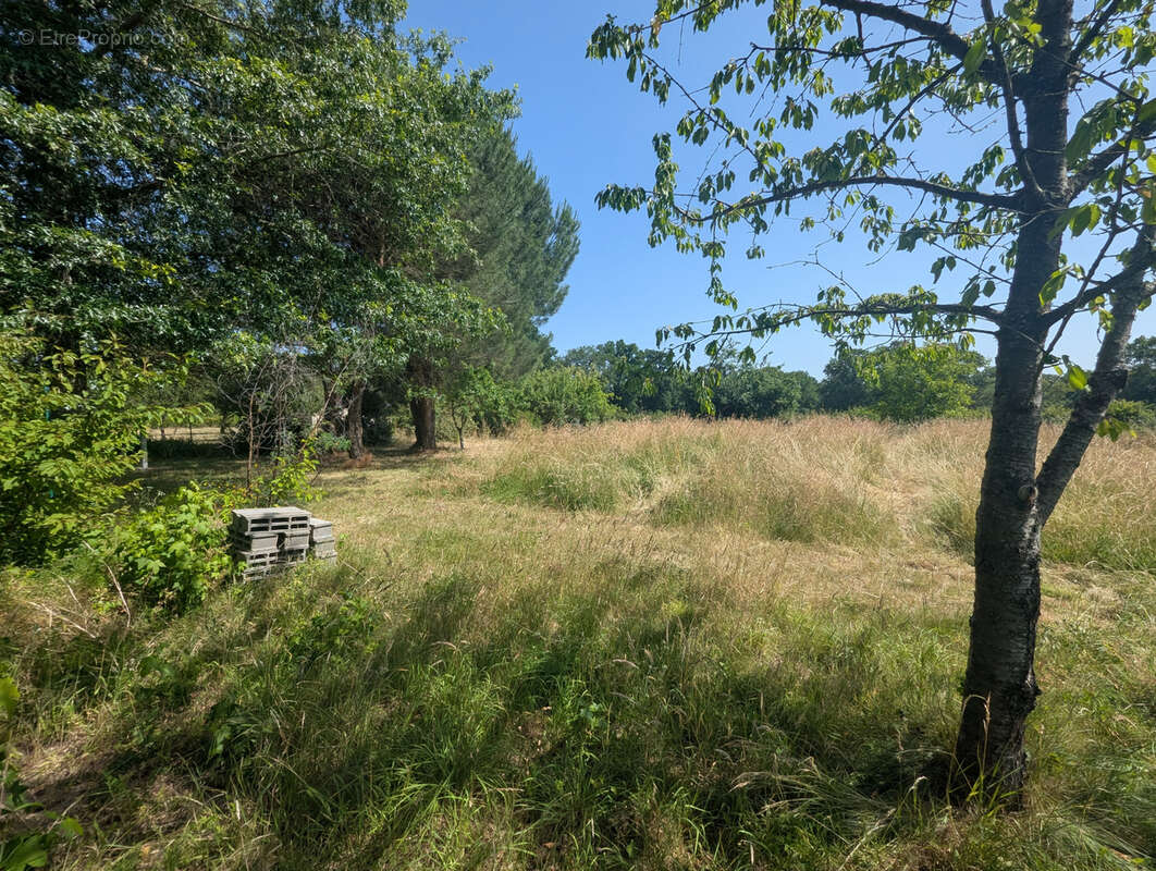 Maison de campagne avec vie de plain-pied ! - photo 19