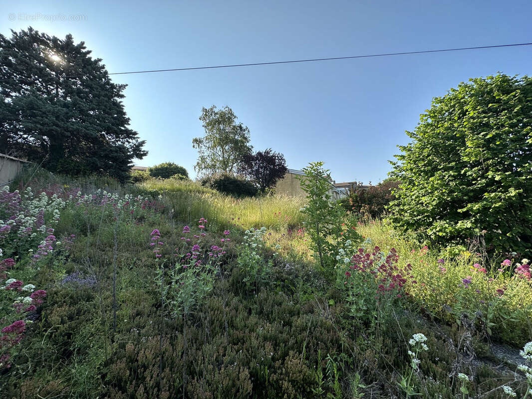 Photo 5 - Terrain à SAINT-JUST-LA-PENDUE