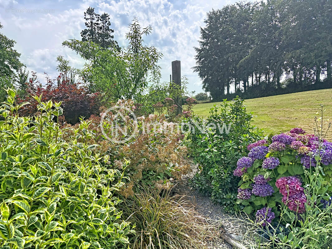 Maison 152 m2 au calme avec gite sur terrain 5000 m2 a 5 minutes de sourdeval - photo 19