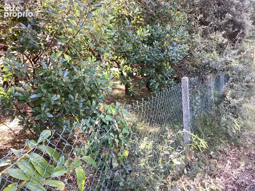 Terrain 864 m² à vendre à Le Verdon-Sur-Mer (33123) - photo 6