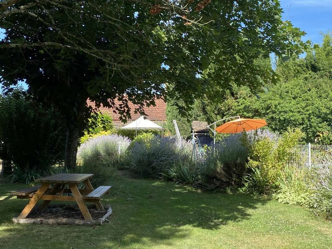 Belle maison de 3 chambres avec piscine creusée, 2 maisons d'amis et possibilité d'en créer une troisième. - photo 17