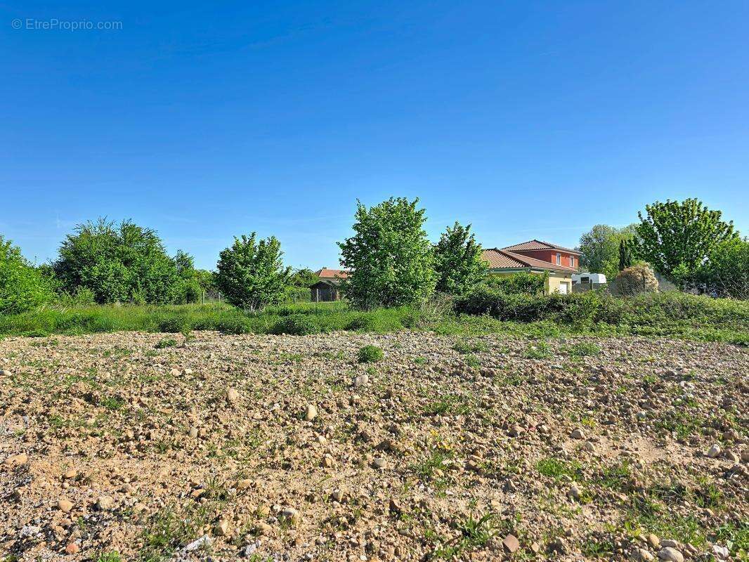 Terrain - Viabilisé - 700m² - photo 6