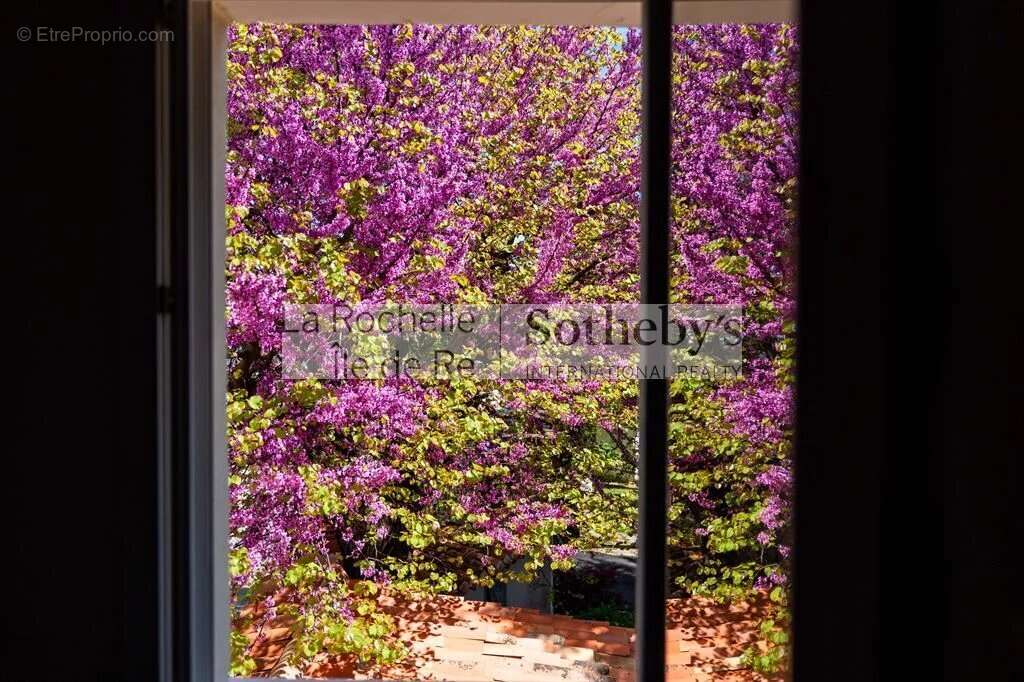 Maison à LA ROCHELLE