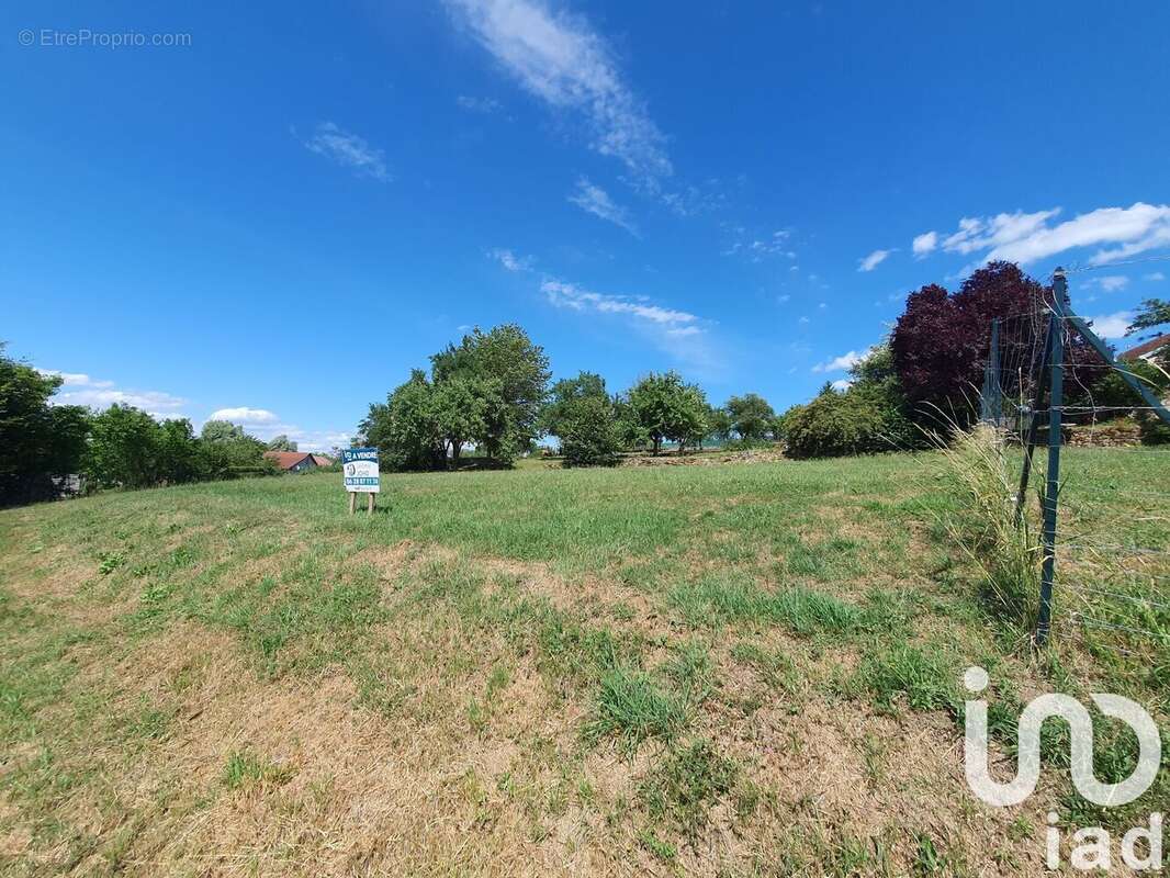 Photo 2 - Terrain à GEVIGNEY-ET-MERCEY