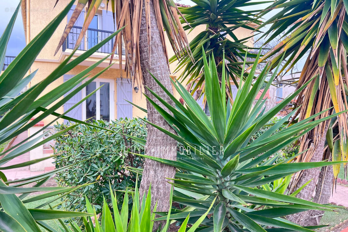 Appartement à ARGELES-SUR-MER