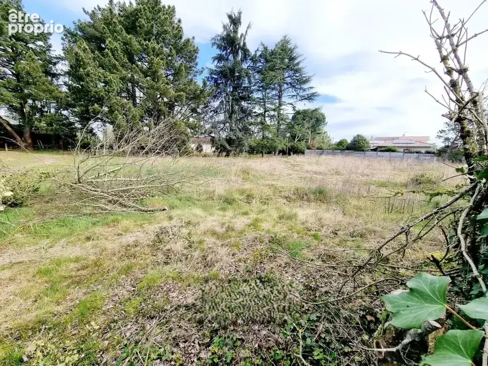 Terrain 700 m² à vendre à Loupian (34140) - photo 2