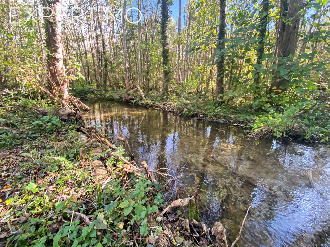 Maison à CHALO-SAINT-MARS
