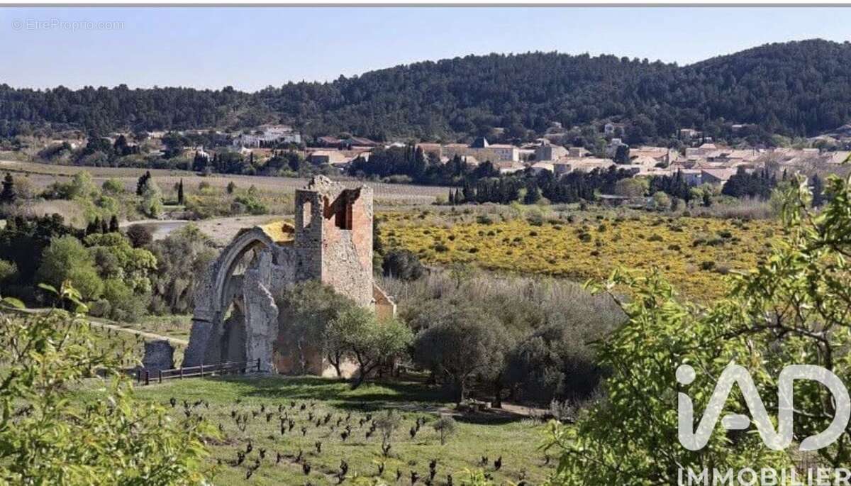 Photo 2 - Terrain à PORTEL-DES-CORBIERES