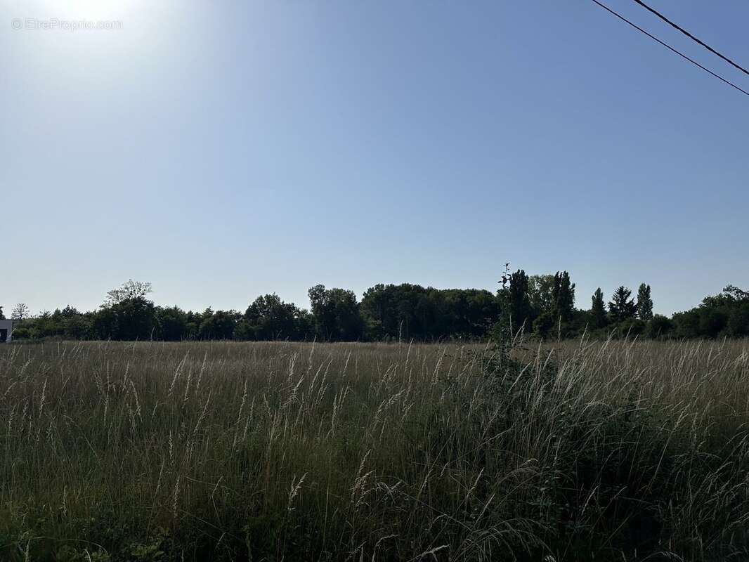 Terrain à LA COUR-MARIGNY