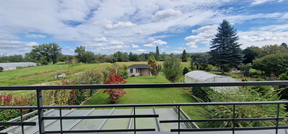 Maison à VILLAGE-NEUF