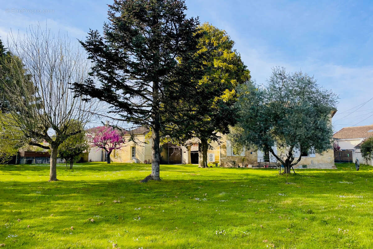 Maison à SAINTE-TERRE