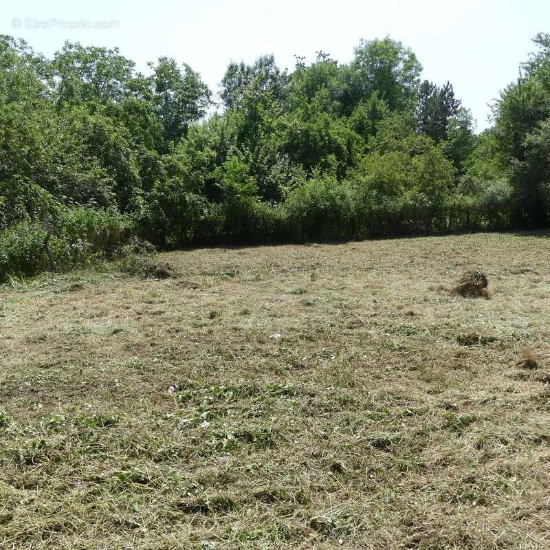 Terrain à POUILLY-EN-AUXOIS