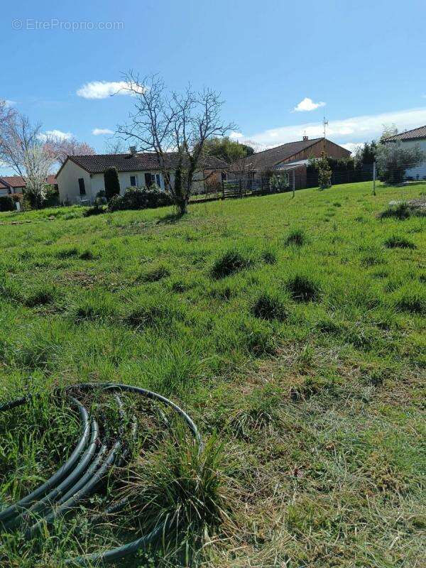 Terrain à GAILLAC