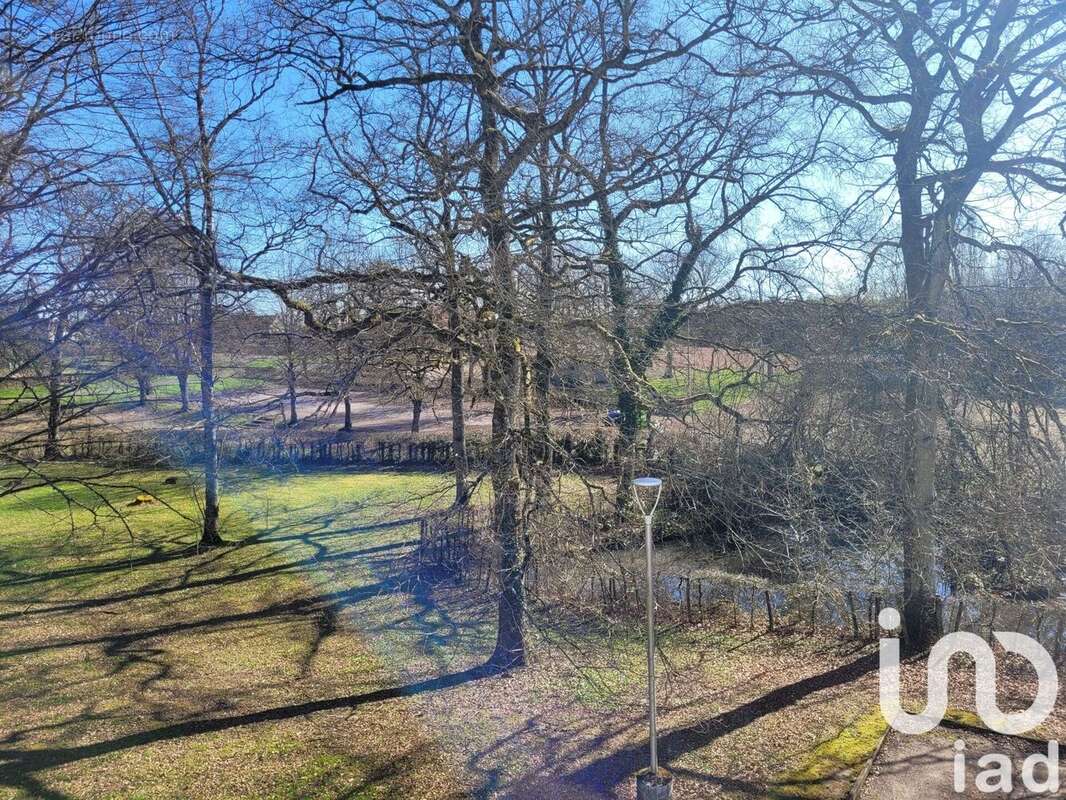 Photo 8 - Appartement à CIRY-LE-NOBLE