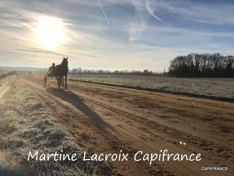 Dpt SARTHE (72), à vendre LA FERTÉ-BERNARD - PROPRIÉTÉ  P5 de 100 m² - Terrain de 10 Ha - photo 13
