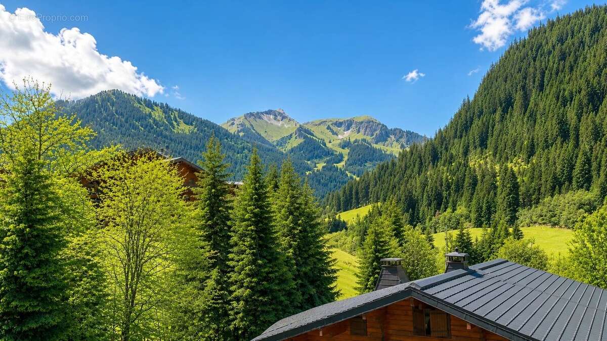 Appartement à CHATEL