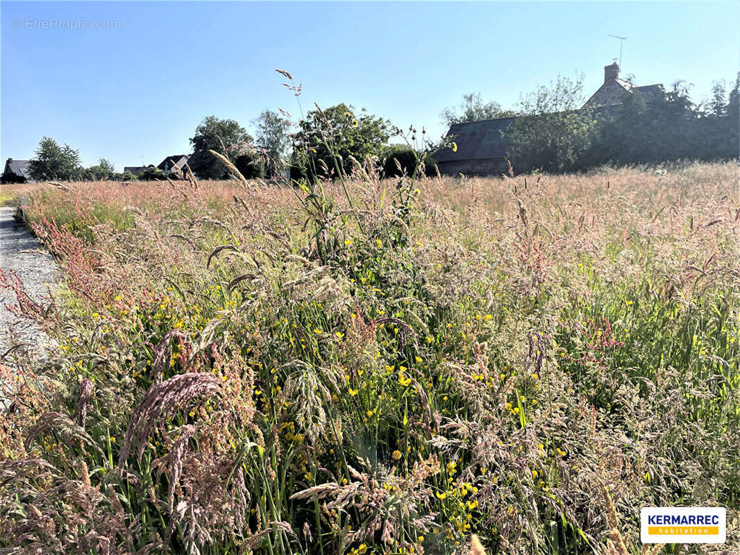 Terrain à MONDEVERT