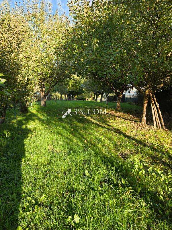 Terrain à MONT-SUR-MEURTHE