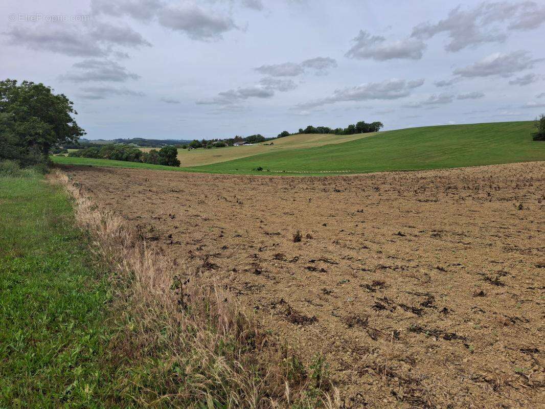 Terrain À Vendre - photo 3