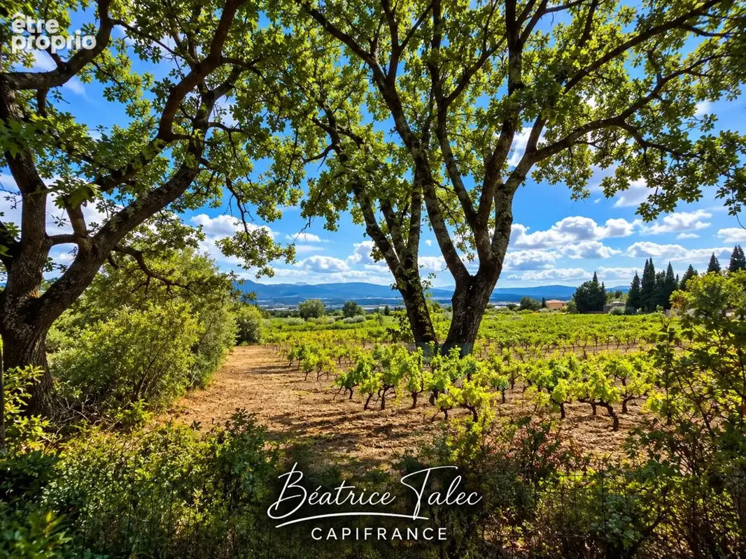 Maison 4 pièces, piscine, vue sur les vignes, Puyloubier, Provence, Montagne Sainte-Victoire, Bouches-du-Rhône - photo 25