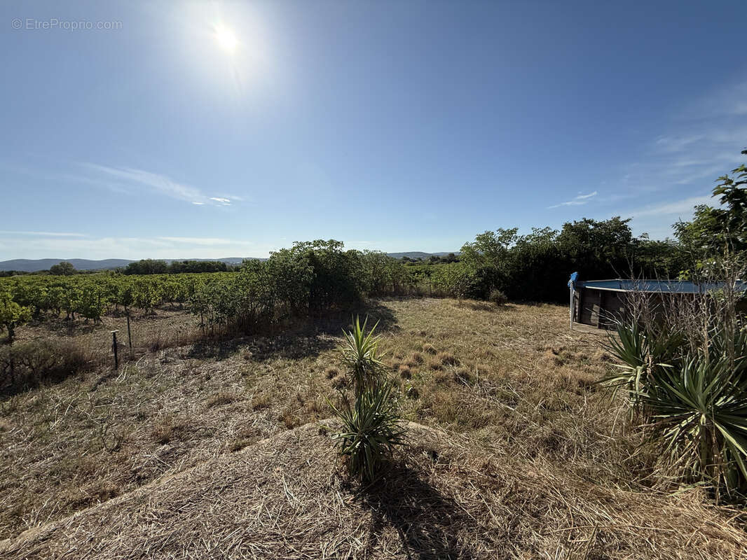 Maison à SAINT-ANDRE-DE-SANGONIS