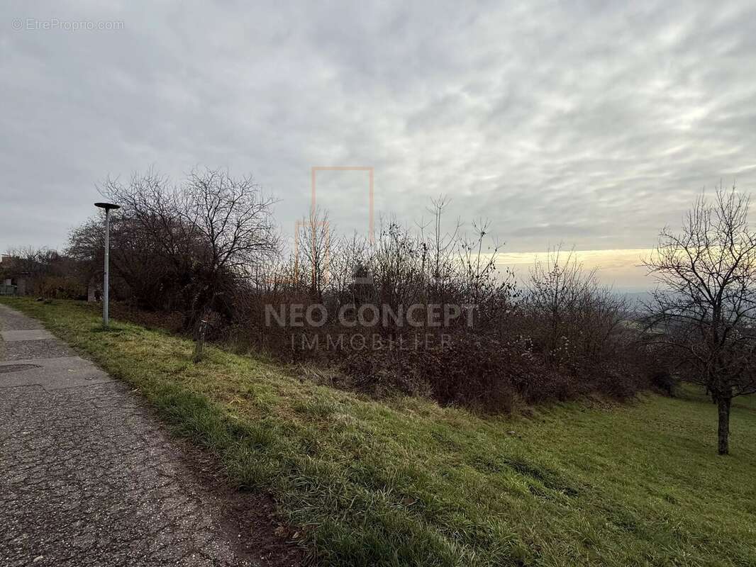 Terrain à OBERBRONN