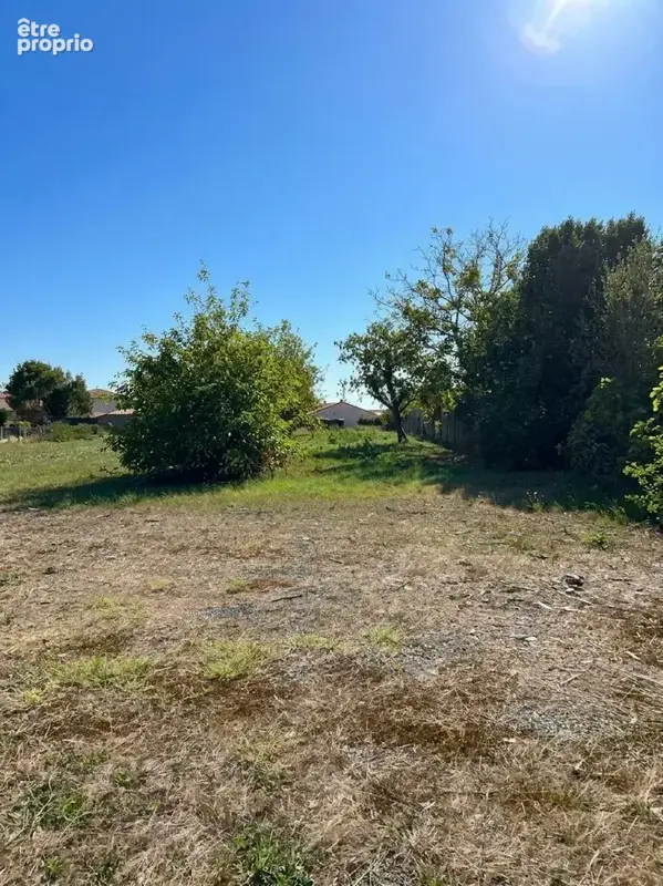 Terrain à SAINT-PHILBERT-DE-GRAND-LIEU