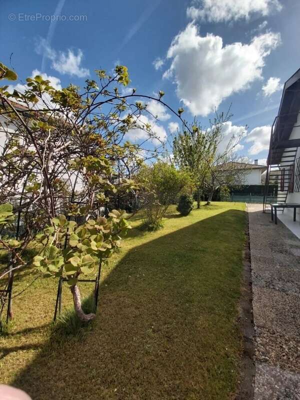 Maison à PEYREHORADE