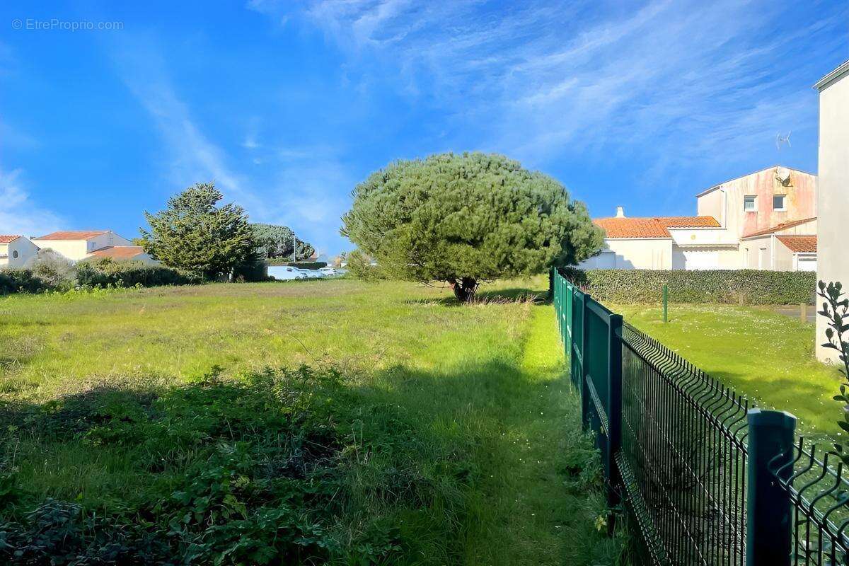 Terrain à SAINT-DENIS-D&#039;OLERON