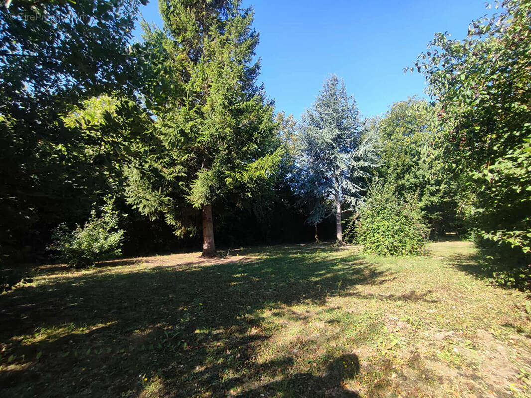 Maison à HAMES-BOUCRES