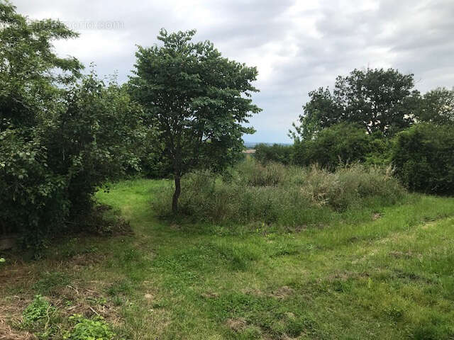 Bastide et dépendances sur 11 hectares - photo 5