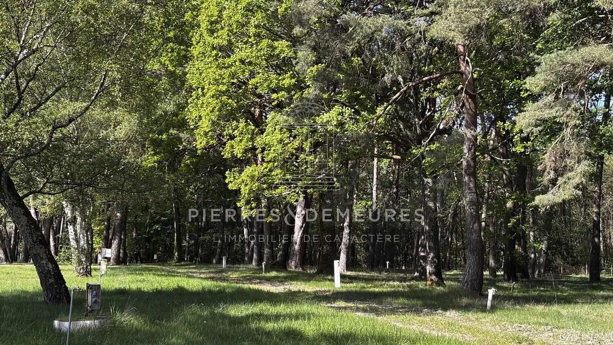 Un site touristique a reinventer en berry - photo 31