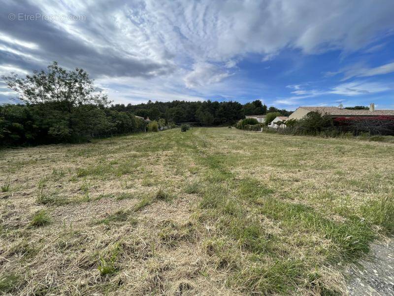 Terrain à BIZE-MINERVOIS