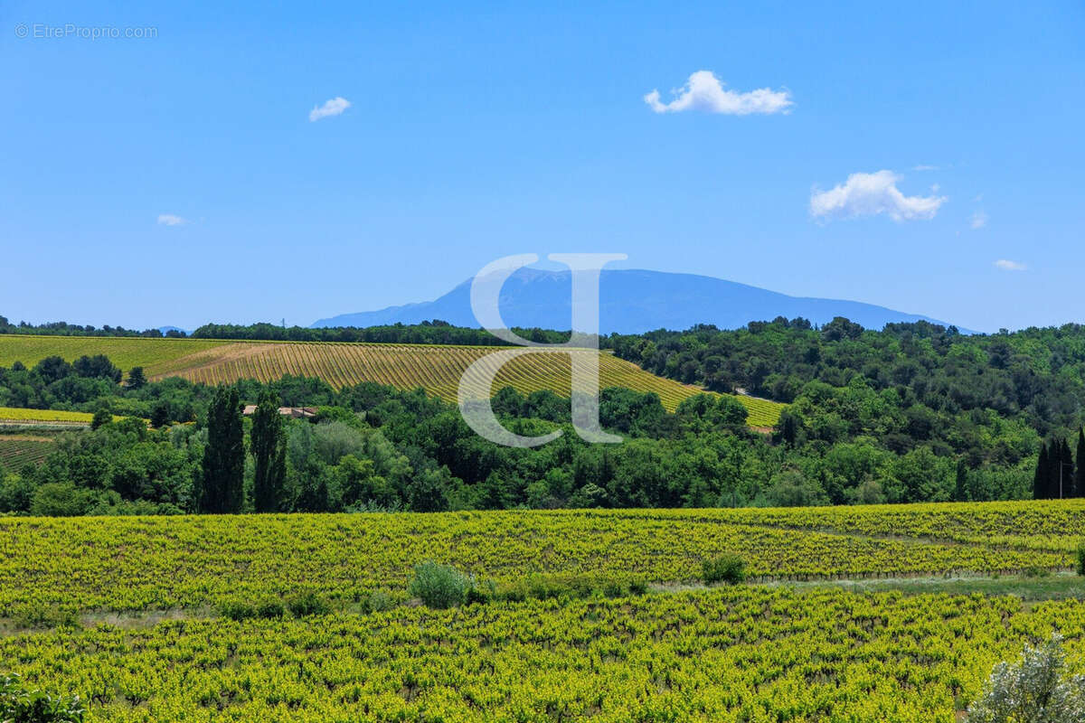 Maison à VAISON-LA-ROMAINE